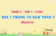Bài 1 trang 75 SGK Toán 7 Chân trời sáng tạo tập 1